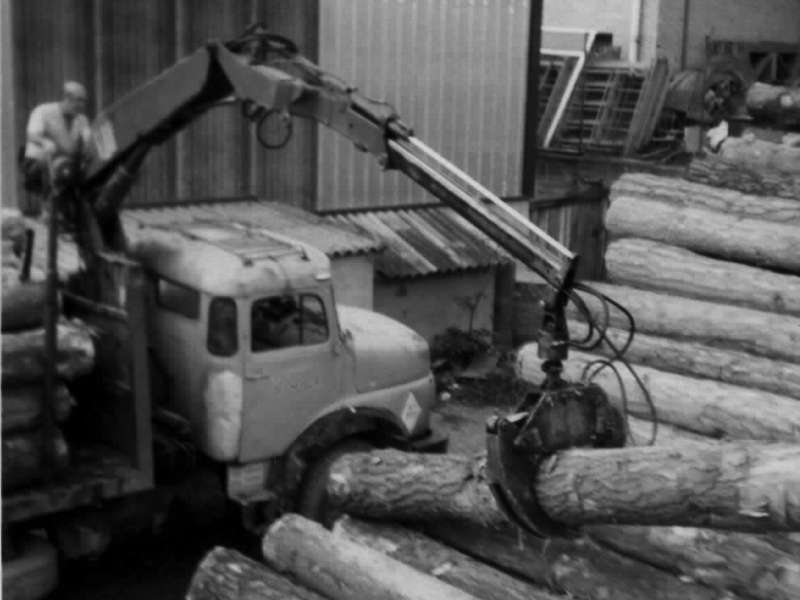 Aserradero - manipulación troncos con camión grua